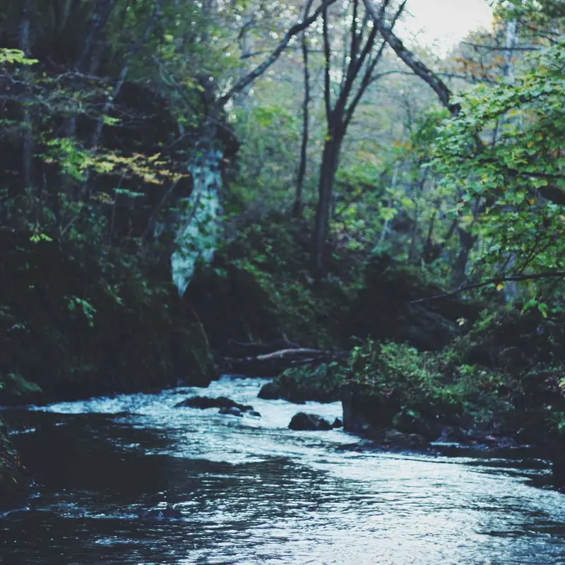 教育进步